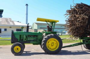 Tractor carrying sugar cane