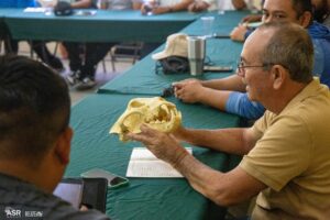 Man studies skull of jaguar